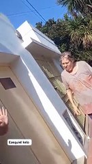 La Plata: denunciaron a una mujer que preguntó si podían “faenar” a su perro en una carnicería