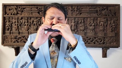 Ek Tera Saath - Film Wapas 1969 on Harmonica Live Performancel by Mukund Kamda