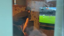Woman films her neighbor a.k.a. her brother going crazy while watching football