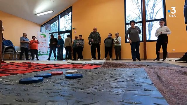 Tous les chemins mènent à Availles-Limouzine (86) Le Palet Vendéen