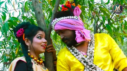 CG SONG __ UD BHAGE CHIDIYA __ TULAS BANJARE , KAVITA SAHU __ VIDEO SONG
