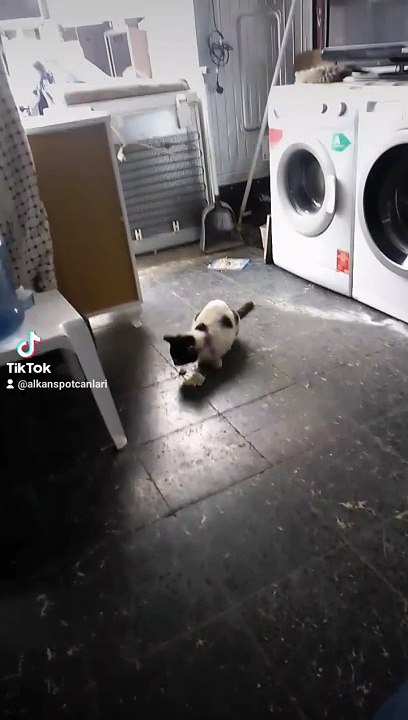 2024-03-22-201339741