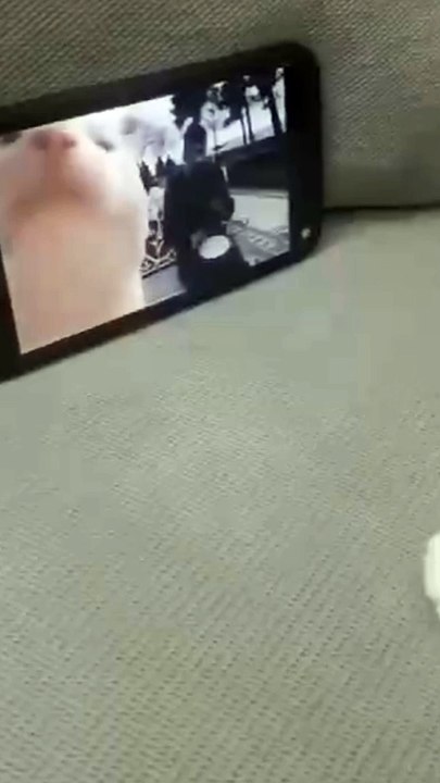 Hhhh