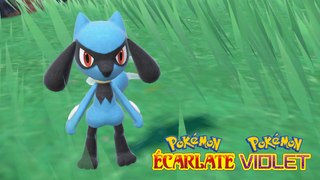 Riolu Pokémon Écarlate et Violet : Comment l'obtenir et le faire évoluer en Lucario ?