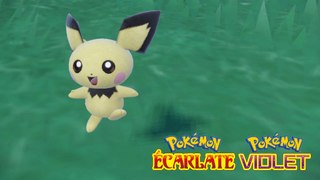 Pichu Pokémon Écarlate et Violet : Comment l'obtenir et le faire évoluer en Pikachu puis en Raichu ?
