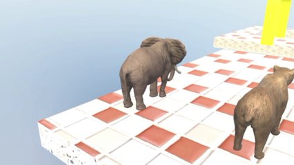 Animals crossing fountain