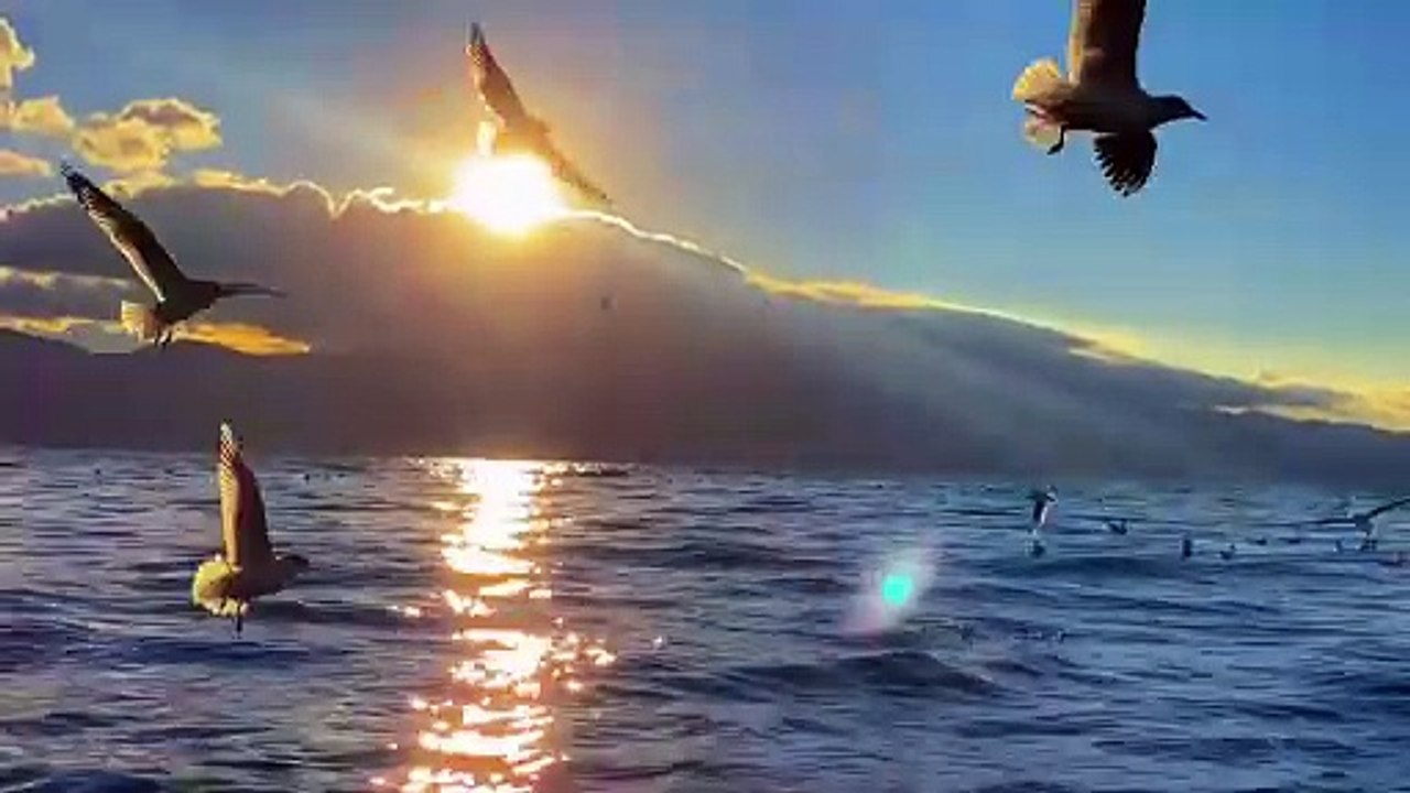 beautiful Sunset