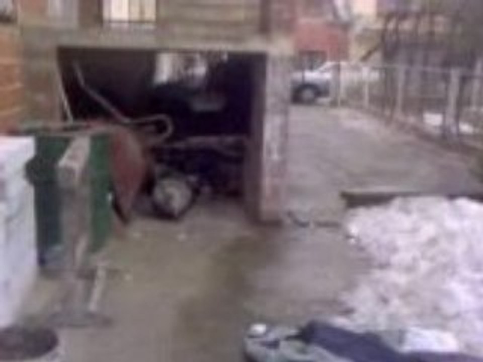 Idiot