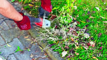 Relooking de jardin  Idées mignonnes pour rendre votre espace plus chaleureux avec un petit budget