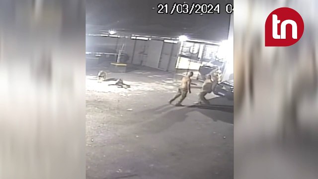 Policiais de tropa de elite brigam e acabam atacados por cães; vídeo