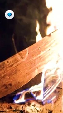 Se reportan 120 incendios forestales en México; suman 5 muertos