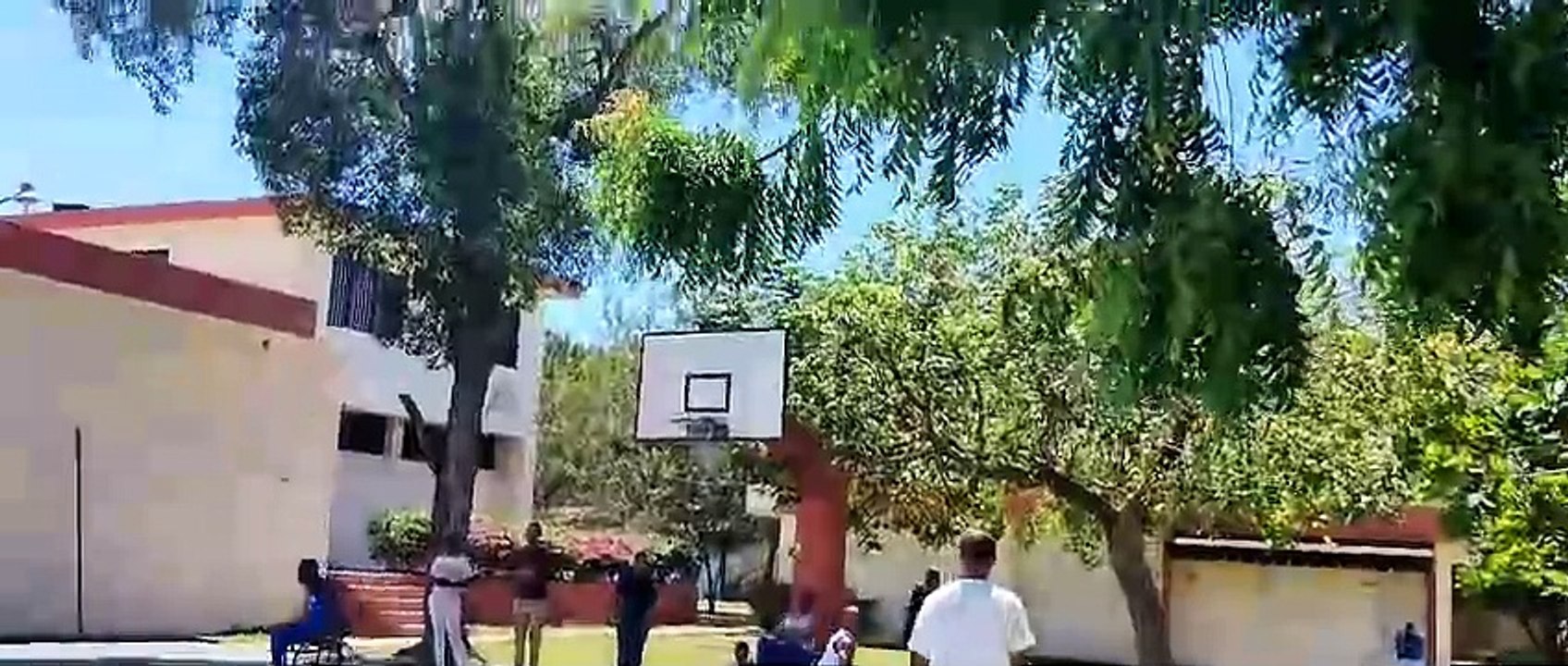 Wheelchair basketball