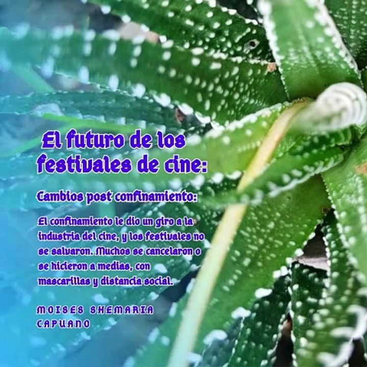 Moises Shemaria Capuano|   El futuro de los festivales de cine  (Parte 1) (Creado por @MoisesShemariaCapuano)