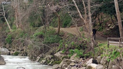 مسلسل عَ اْمِلً الحلقة 19 التاسعة عشر