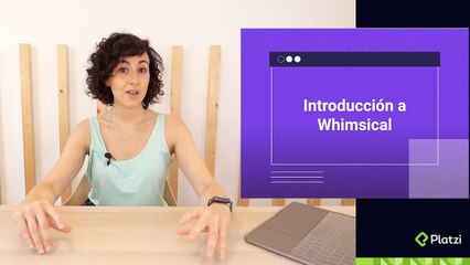 Introducción a Whimsical - Platzi_2022-08-20_09-26-10