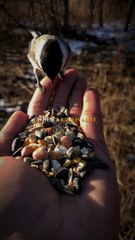 Time is more powerful than you #motivationalspeech_#mindset_#quotes #lifelessons_#success(1080p)