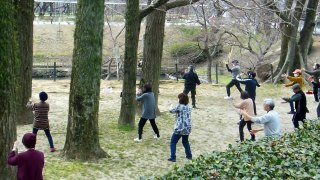 Tai Chi in a Park in Japan