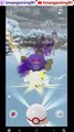 Pokémon GO-Shadow Koffing