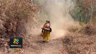 tn7-bomberos-continuan-luchando-contra-incendio-en-isla-de-chira-280324