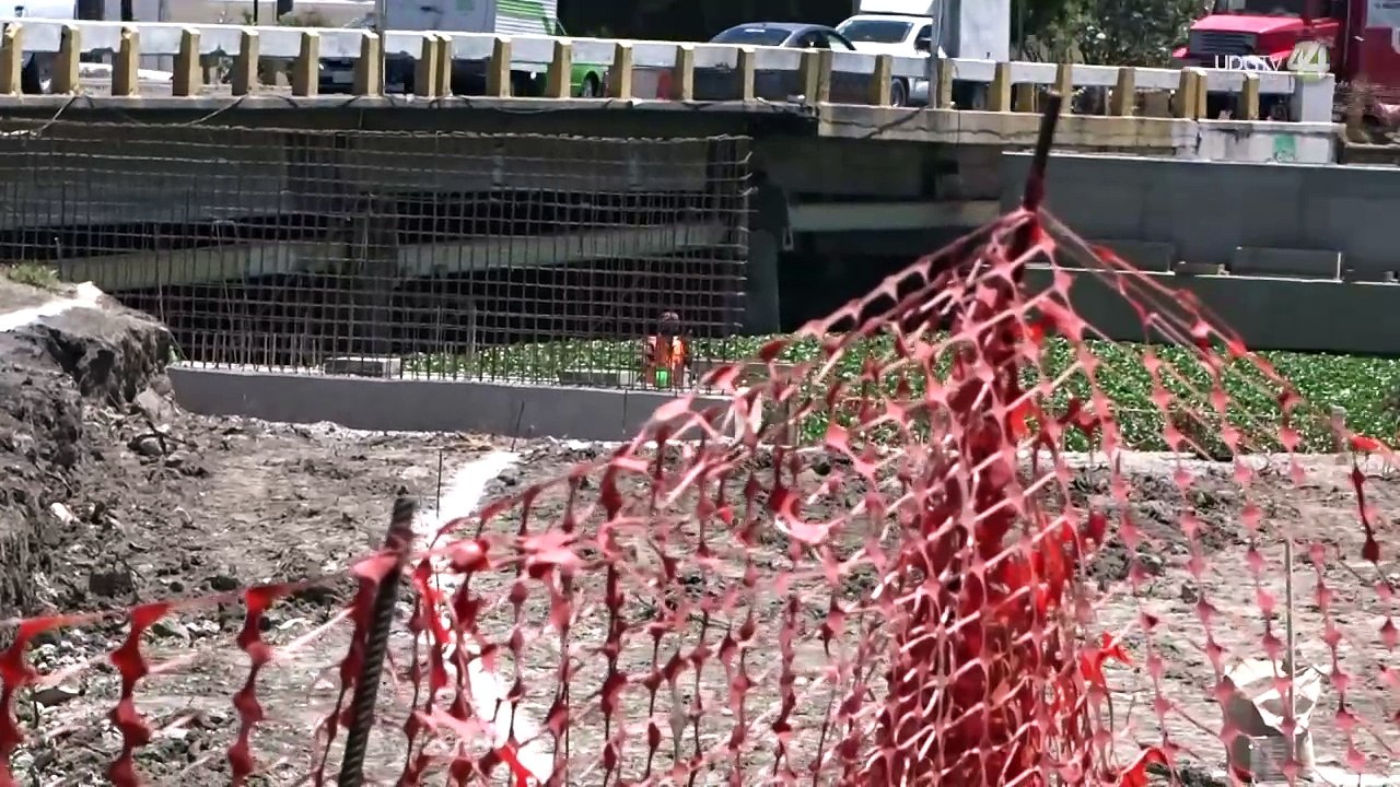Sigue la tala de árboles por obras de ampliación del puente sobre el Zula y ciclovía Ocotlán-Jamay