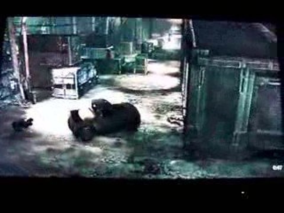 GEARS OF WAR  GROS BUG