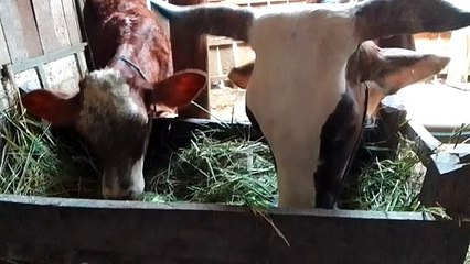 this child is very strange