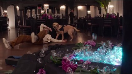 Love, Weddings & Other Disasters Bande-annonce (EN)