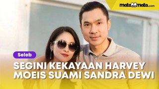 Segini Kekayaan Harvey Moeis, Suami Sandra Dewi yang Kini Jadi Tersangka Korupsi Timah