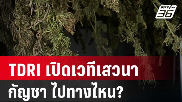 TDRI เปิดเวทีเสวนา ถก กัญชา ไปทางไหน? | เที่ยงทันข่าว | 29 มี.ค. 67