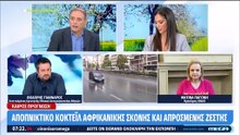 Ματίνα Παγώνη για Κόκοτα: «Είναι κρίμα τα νέα. Περιμένουμε τα επόμενα 24ωρα, θα βγει ανακοινωθέν»