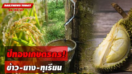 ปีทองเกษตรกร! ข้าว-ยาง-ทุเรียน | DAILYNEWSTODAY 29/03/67