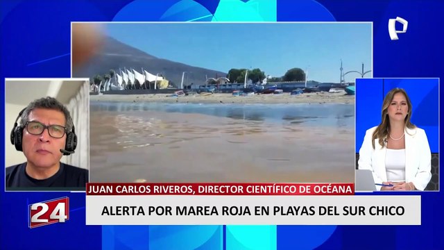Juan Carlos Riveros sobre marea roja en playas: Puede causar problemas de salud en personas y animales