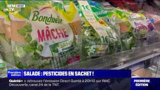 L'UFC-Que Choisir alerte sur la présence de pesticides dans de nombreuses salades en sachet