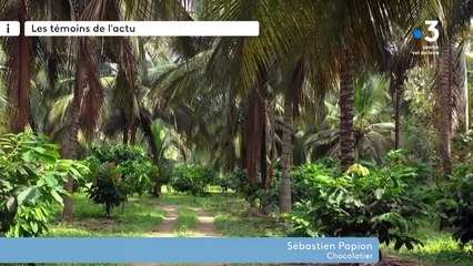 Témoins de l'Actus :Sébastien PAPION