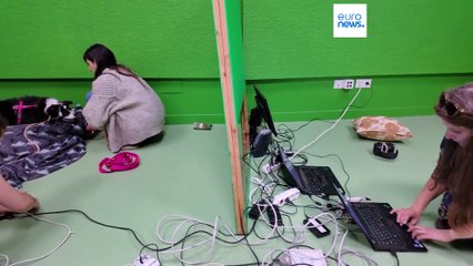 Scienza, uno studio ungherese rivela: "I cani comprendono le nostre parole"