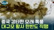 중국 강타한 황사 폭풍...대규모 모래 먼지 한반도로 직행 [Y녹취록] / YTN
