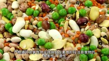 熊春锦先生谈素食机制与脾意修持
