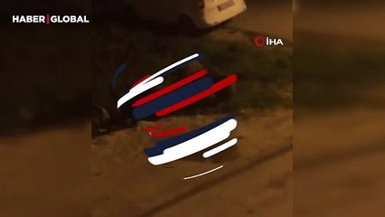 Yer Bursa: Sürü halde sokaklarda dolaşan domuzların sesi şaşırttı