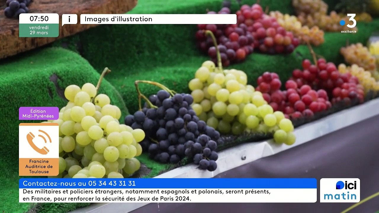 Nancy Fauré, directrice d'Interbio Occitanie