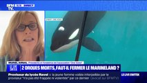 Orques mortes à Marineland: la présidente de 