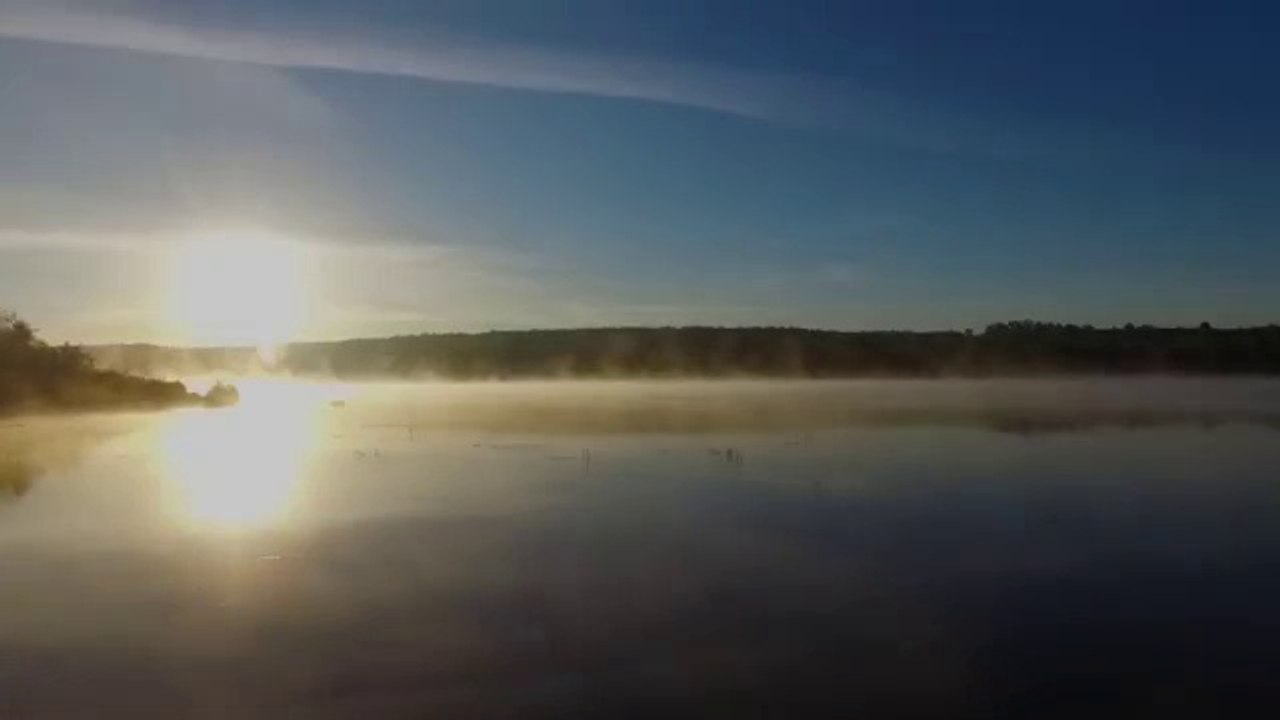 videoplayback (1)