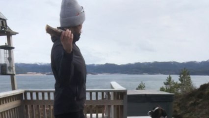 Hide & Seek shenanigans at large as woman's playful trick leaves pup in confusion