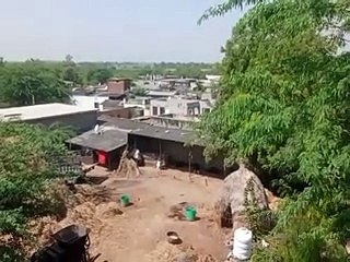 तपोभूमि के नाम से जाना जाता है तीरथ, गांव की साक्षरता दर 90 प्रतिशत-video