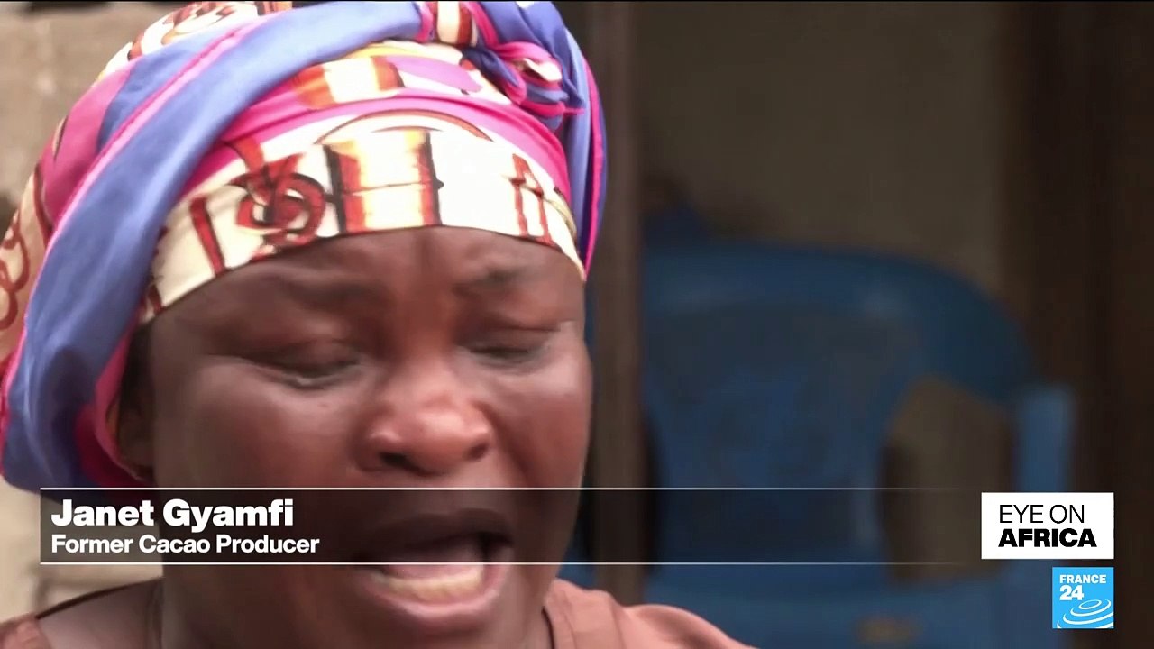 African cocoa plants run out of beans as global chocolate crisis deepens