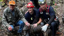 Le chien est coincé dans une grotte : leur sang ne fait qu'un tour quand ils voient ce qui dort parmi les rochers (vidéo)