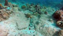 Scuba Diving Part 2/ Summer Escapade