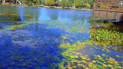 Laguna de las Lavanderas después de Patria Gaucha (y del temporal) - Tacuarembó (22/03/2024)