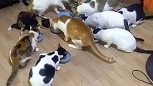 feeding time