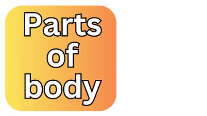 White Neutral Parts Of The Body Flashcards