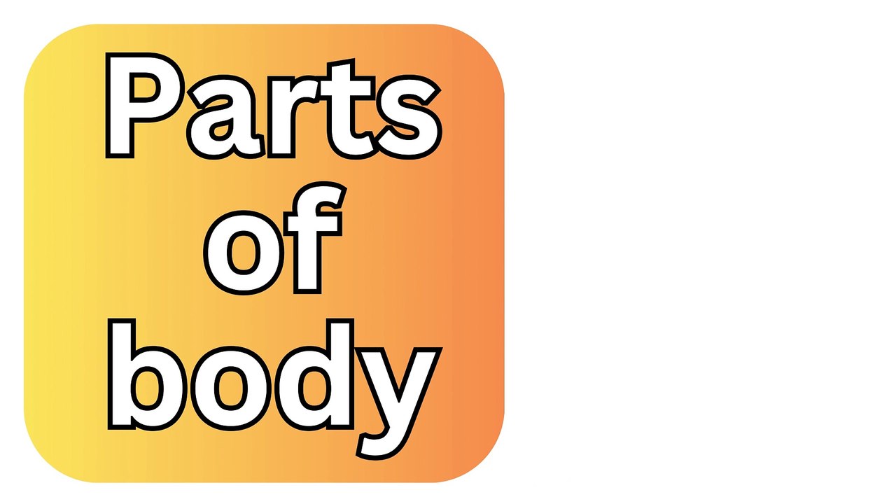 White Neutral Parts Of The Body Flashcards